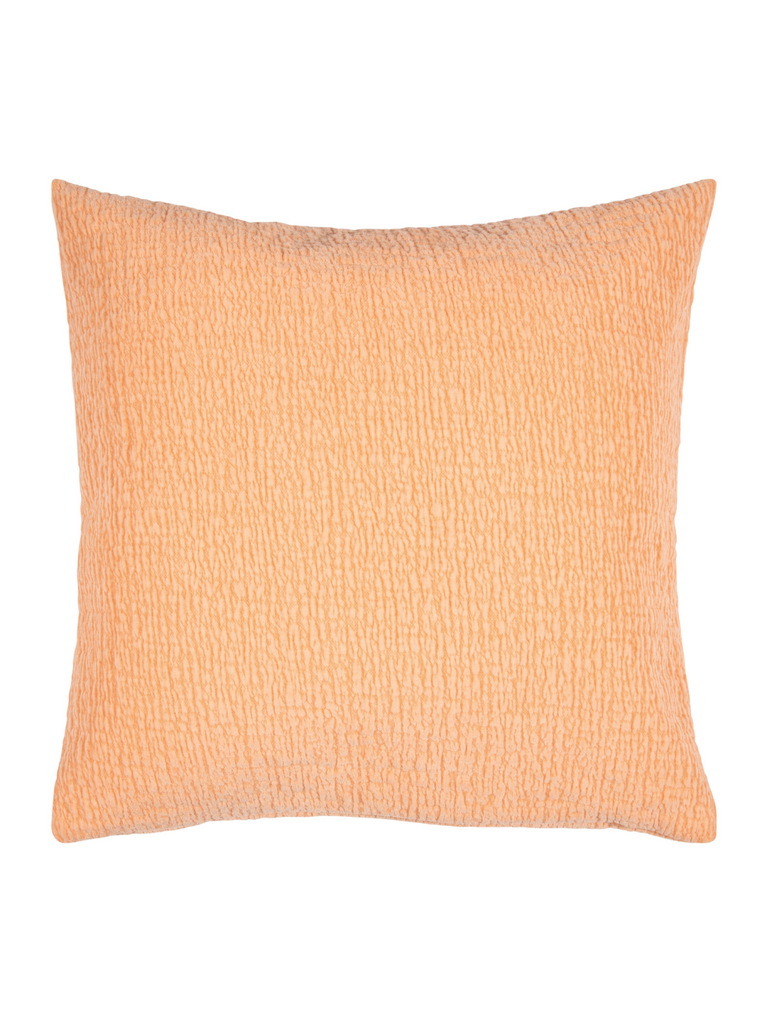 Apricot Groß